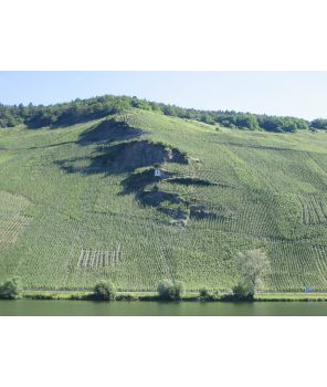 SONNENUHR (Wehlen) Riesling Spätlese 2018 0,75l