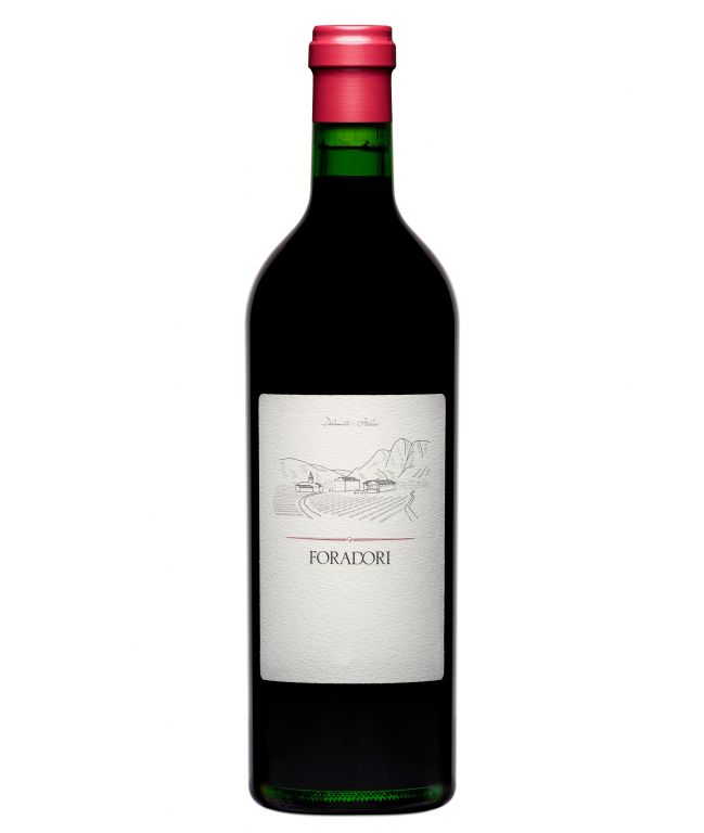 TEROLDEGO FORADORI, 2023, 0,75L