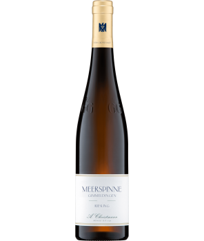 MEERSPINNE Riesling GG 2023 1,5L