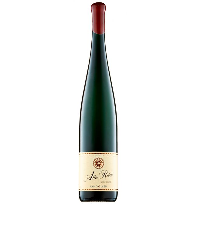 ALTENBERG Riesling "Alte Reben" GG 2023 1,5L