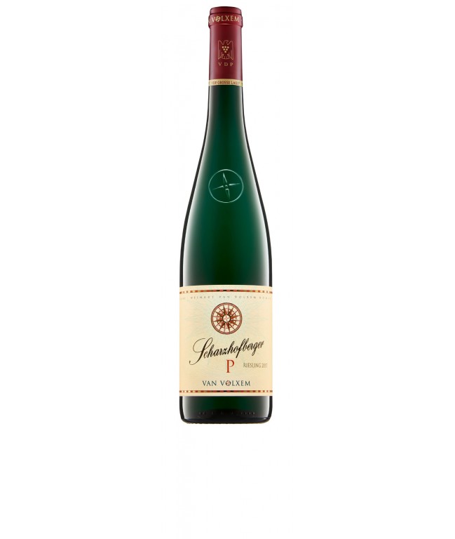SCHARZHOFBERGER "P" Riesling GG 2017 0,75L
