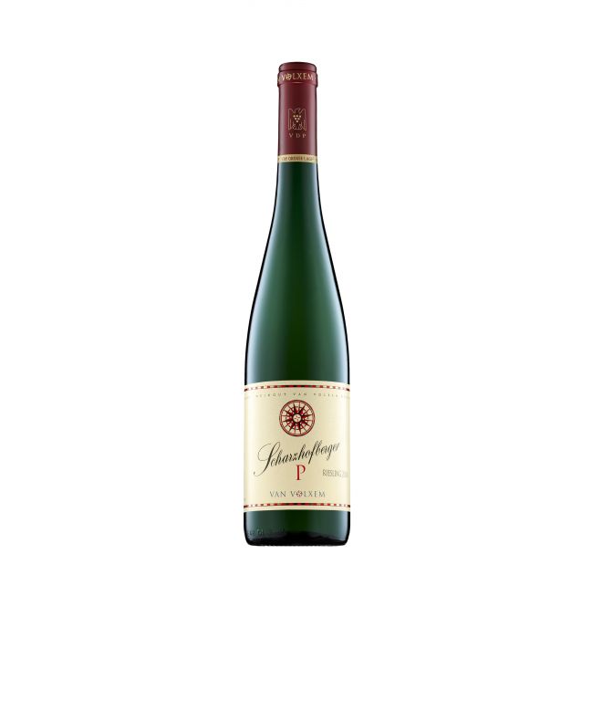 SCHARZHOFBERGER "P" GL Riesling 2016 3L