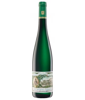 ABTSBERG (M) "Superior" Riesling GL 2017 0,75L