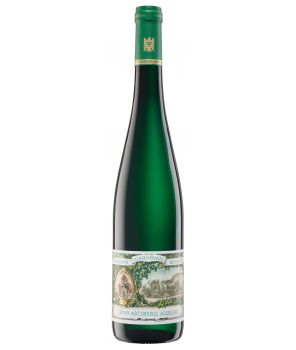 ABTSBERG (M) Riesling Auslese GL 2019 0,75L