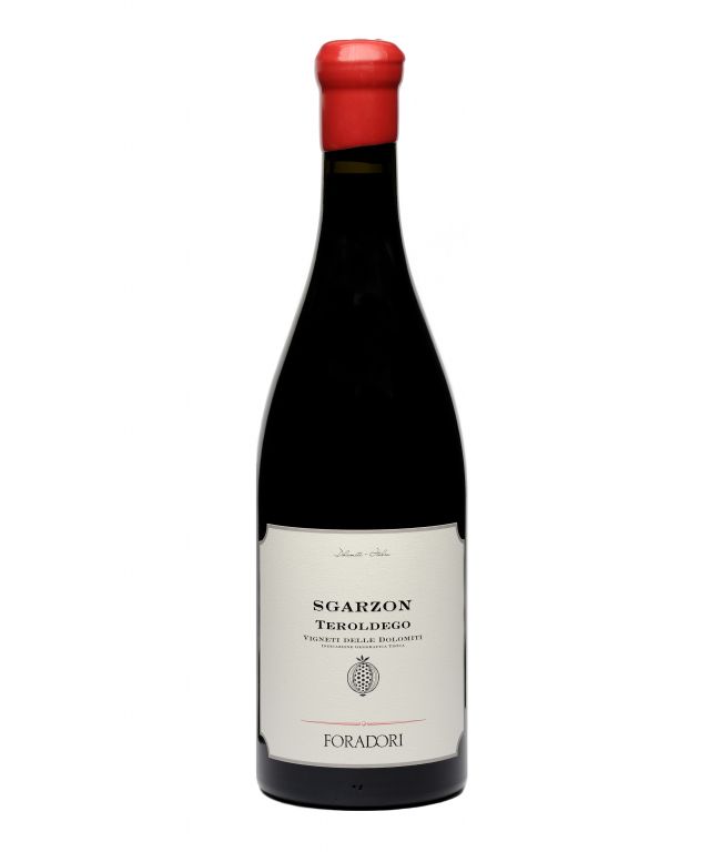 SGARZON, Ánfora, 2016, 1,5L