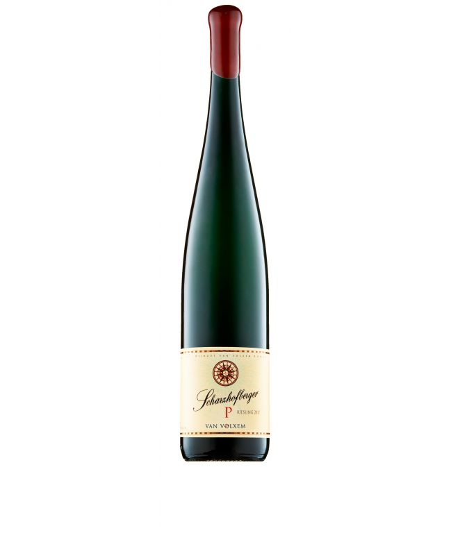 SCHARZHOFBERGER "P" Riesling GG 2017 1,5L