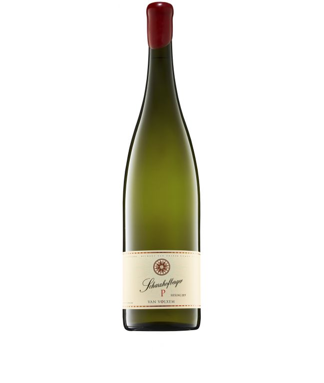 SCHARZHOFBERGER "P" GL Riesling 2019 3L