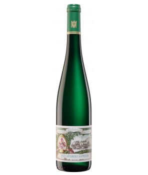 ABTSBERG (M) "Superior" Riesling GL 2020 0,75L