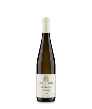 Höllenpfad Riesling Trocken EL 2021 0,75L