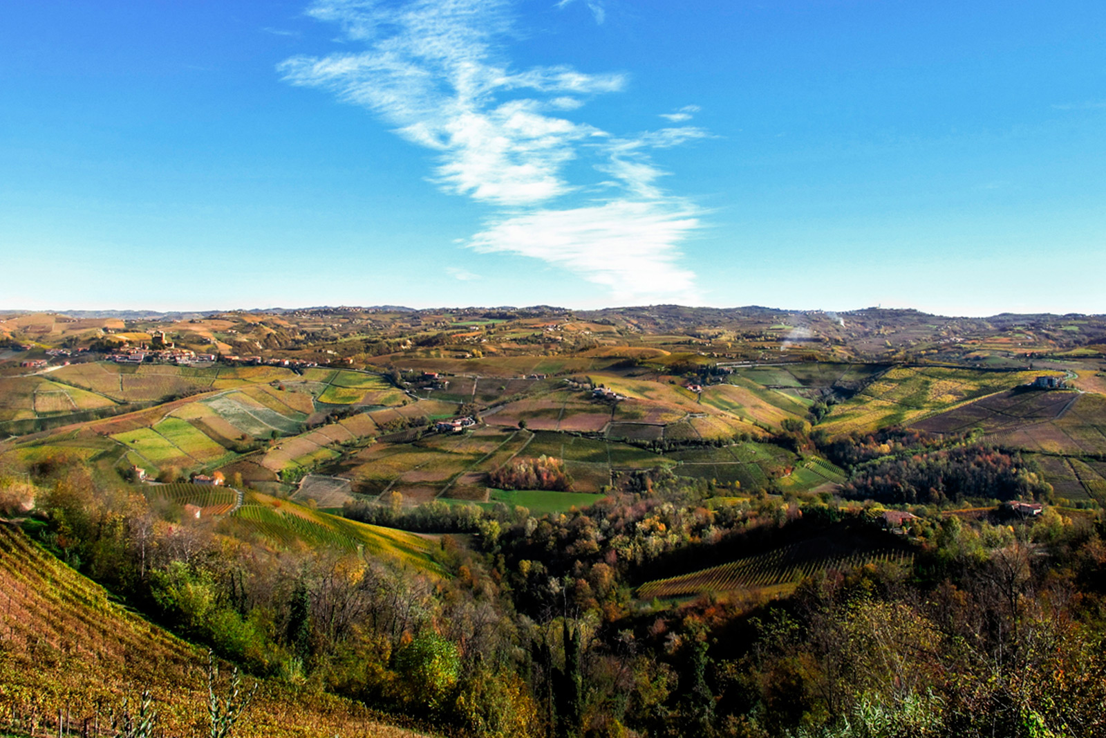 AZIENDA VITIVINICOLA PRINCIPIANO FERDINANDO